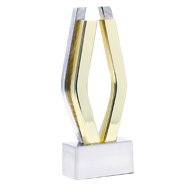 Viddy Award Gold